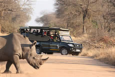 Bush Walks with Echo Africa Safaris and Transfers