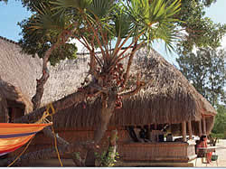 Paradise Beach Lodge  for self catering accommodation in Pemba