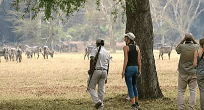 Muzimu Lodge is Gorongosa&rsquo;s flagship safari camp